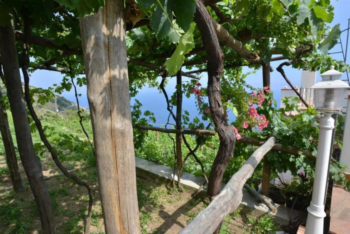 Tenuta La Picola فوروري المظهر الخارجي الصورة