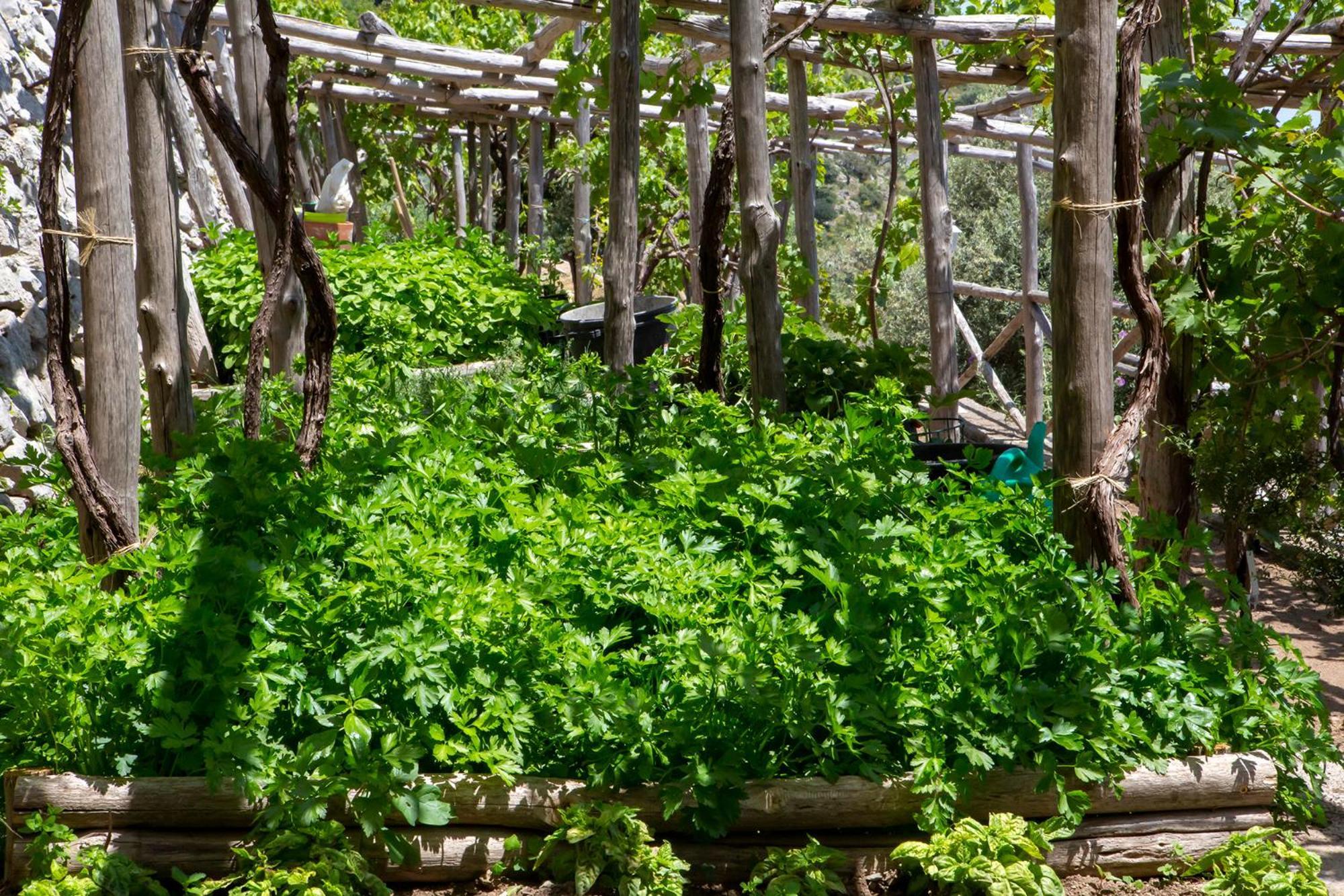Tenuta La Picola فوروري المظهر الخارجي الصورة
